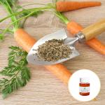 100% Pure Organic Essential Oils Carrot Seed Essential Oil Skin Lightening