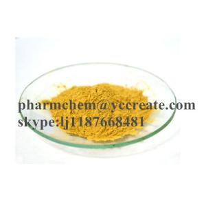 China Low Price Goji Berry Plant CAS 11-40-5 Wolfberry Extract For Health wholesale