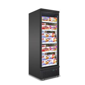 China 450 Liters Plug In R290 Refrigerant Swing Upright Glass Door Freezer Merchandiser wholesale