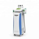 PROMOTION!!! fat freeze,skin rejuvenation,wrinkle removal cryolipolysis slimming