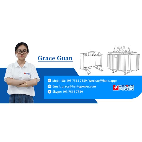 HENTG POWER services