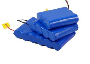 China Long Lifetime Lithium Ion Rechargeable Battery Pack 6S1P 3.6V 12Ah For Electric Shaver wholesale