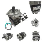 Bidirectional Gear Forklift Hydraulic Pump 91E71-10200 ODM