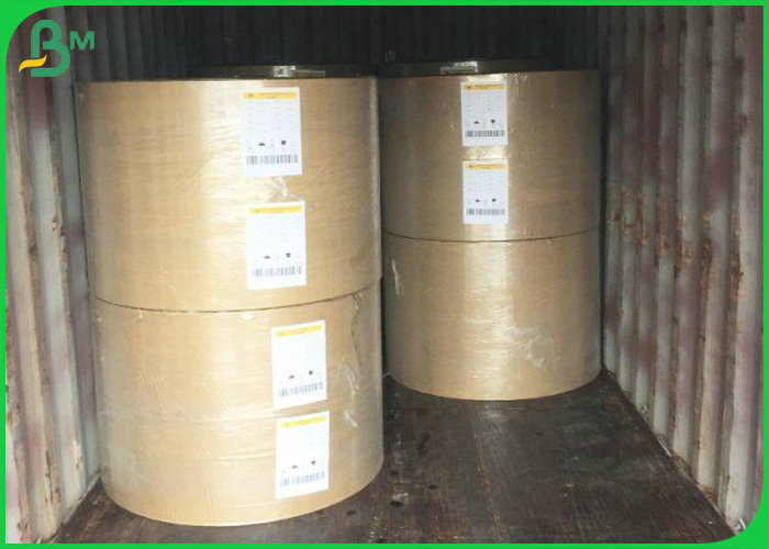 75gsm 80gsm 100gsm 100% Wood Pulp Offset Paper In Reel For School Book Use