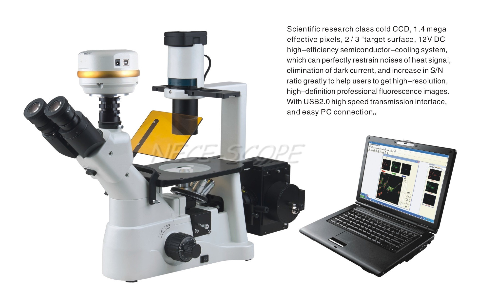 Wide Field Confocal Fluorescence Microscopy 1.4MP Cold CCD C Mount
