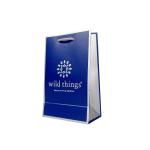 Pantone Color Ivory Board Jewellery Handbags Custom Paper Shopping Bags