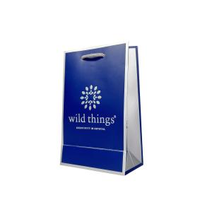 China Pantone Color Ivory Board Jewellery Handbags Custom Paper Shopping Bags wholesale