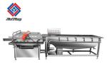 ODM Vegetable Fruit Washing Machine Spinach Leafy V/ Vegetables Cleaning