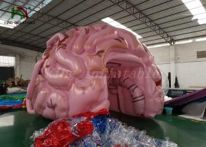 China Customized Size Inflatable Event Tent Simulation Brain Model For Medical Show wholesale