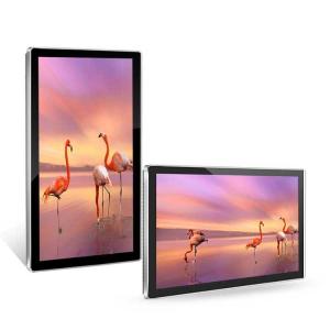 China 250nits 65 Inch Digital Signage Advertising Kiosk 1024x768 wholesale