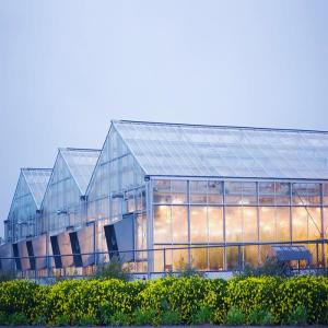 China Galvanized 12mm Thickness Film Greenhouse Solar System wholesale