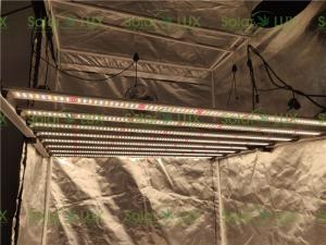 China Lm301b Lm301h 650w G1 UL8800 Horticulture LED Grow Lights wholesale