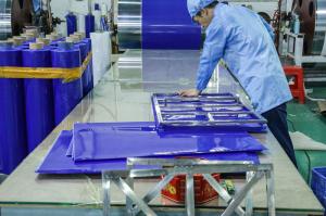 China Blue / White / Green / Customized Clean Room Floor Mats Class 10 100 1000 Industiral wholesale