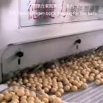 Cryogenic Tunnel Freezer Liquid Nitrogen Quick Freezing Line Machine