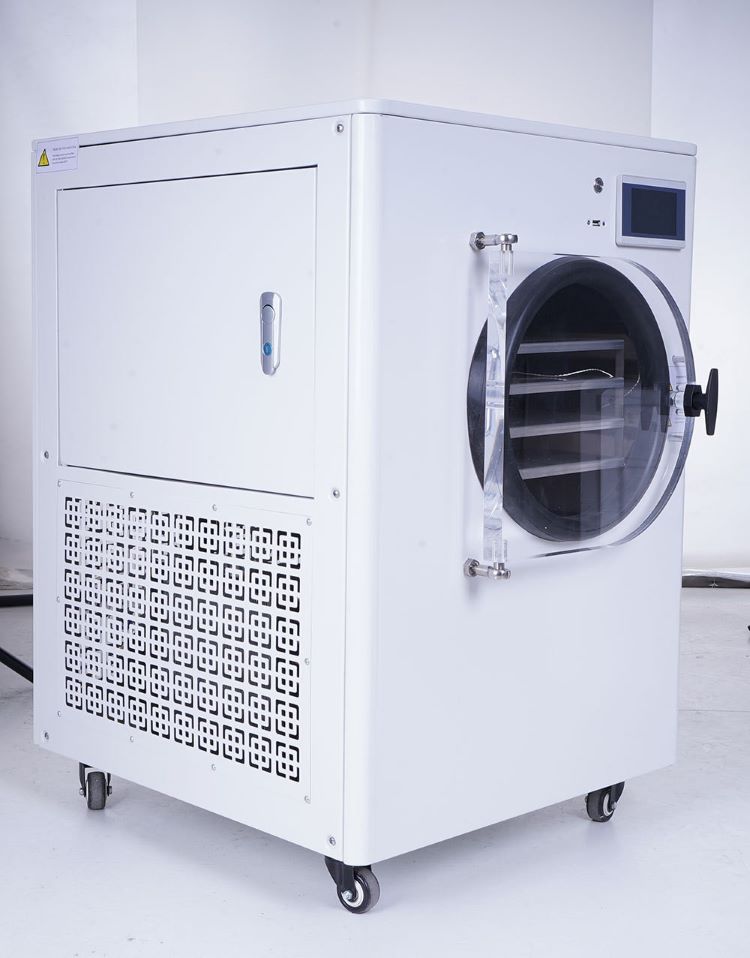 Brand New Multi-Function Food Factory Drying Turnip Large Freeze Dryer