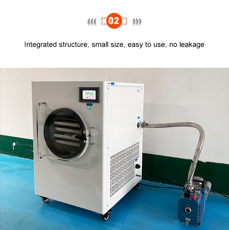 Mini Home Vacuum Freeze Dryer Fruit Vegetable Lyophilizer 15pa