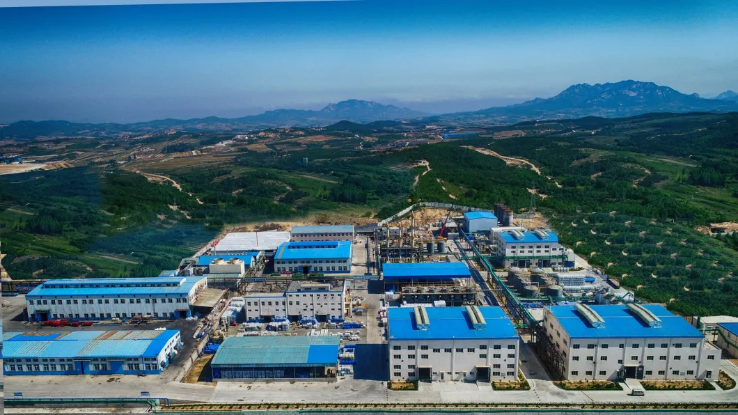 High Quality Copper Flotation Chemical Reagent Sibx Sodium Xanthate