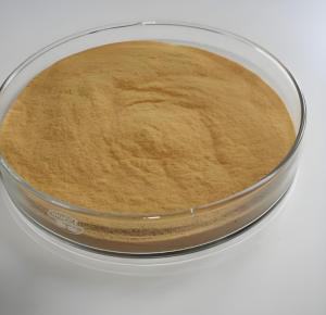 China Fe2 SO4 3 Ferric Sulfate Water Treatment For Water Purification wholesale