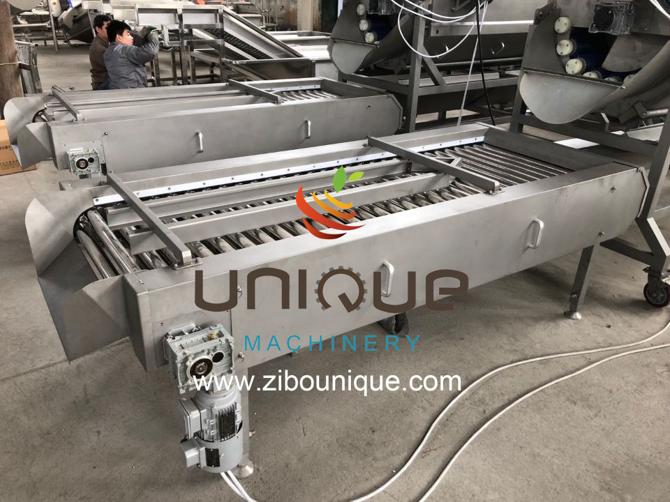 Automatic Clean Root Vegetable Asparagus Washing Line with Fruit Vegetable Juicer
