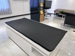 China Blood Circulation Heated Infrared Blanket Far Infrared Heated Blanket For Pain wholesale
