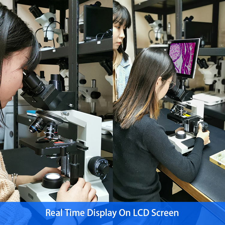 Wide Field Biological Microscope 1600x With Plan - Concave Mirror A11.1007