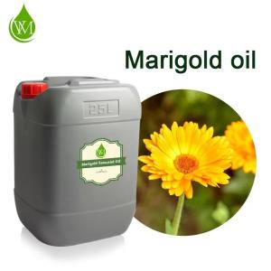 China 100% Pure Natural Organic Calendula Essential Oil Marigold Oil wholesale