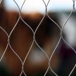 Inox Bird Netting