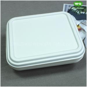 China Biodegradable Sugarcane Pulp 3-Compartment Food Box-High Quality Plant Fiber Takeaway Food Container Supplier In China wholesale