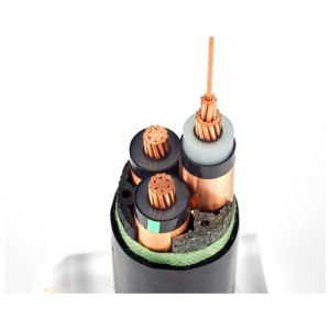 Dependable XLPE Insulated Power Cable for Critical Infrastructure
