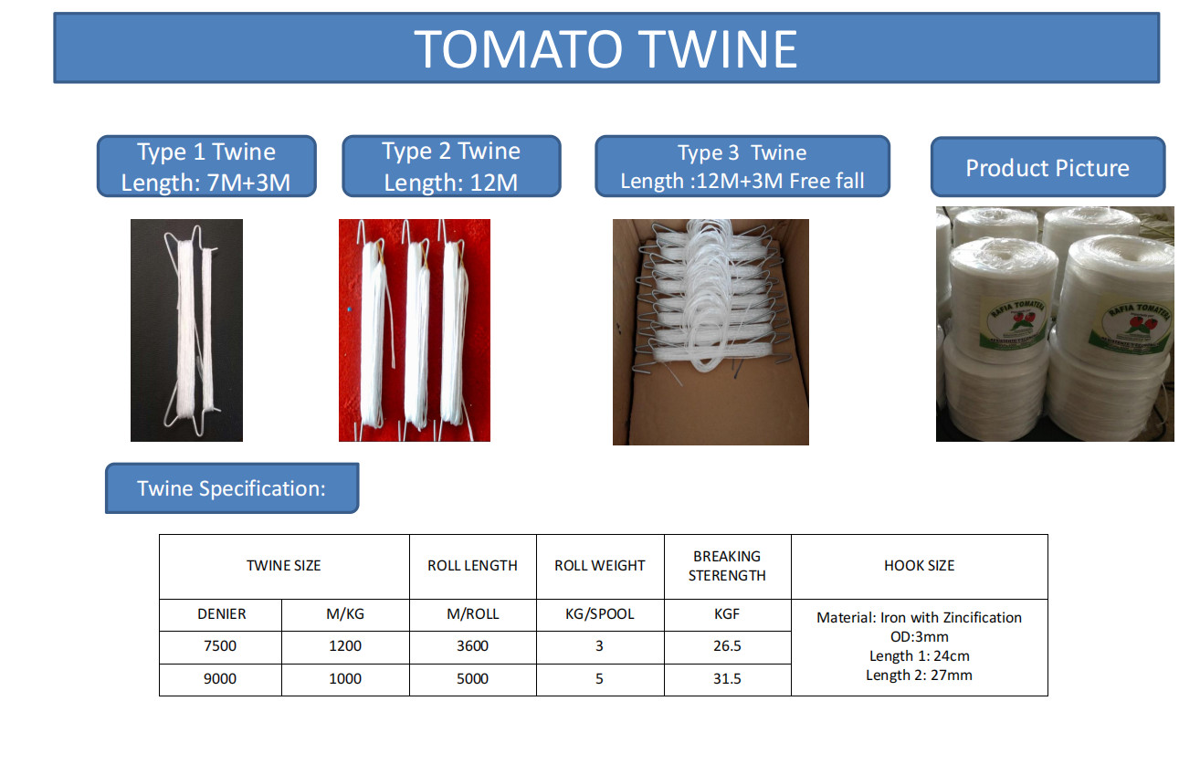 UV Resistance Agriculture Tomato Twine 1800mts/Kg 3600mts/Kg 4000mts/Kg