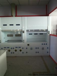 China Chinese Fume Hood Industry Production PP Lab Products For Oversea Suppliers wholesale