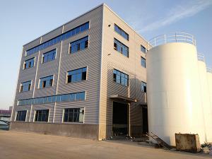 China Customizable Q355B Prefabricated Steel Buildings Commercial wholesale