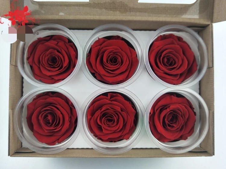 Wholesale Preserved Fresh Dried Flowers Dark Blue Roses for Arrangement