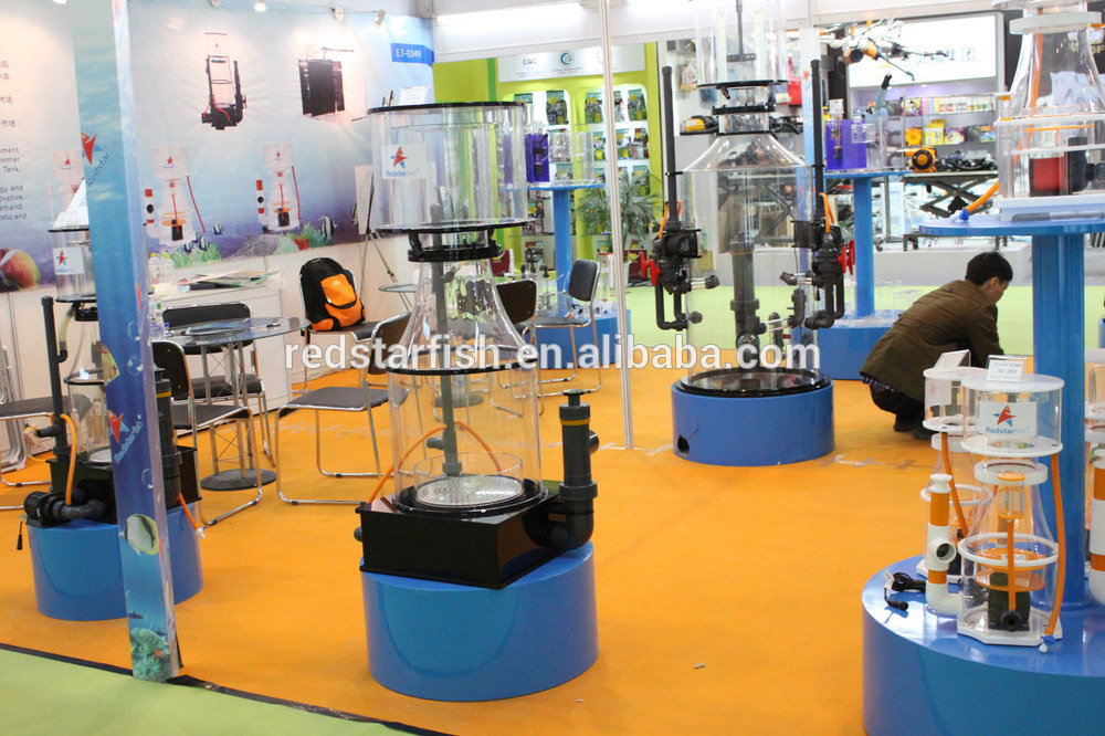 our Beijing CIPS-1.jpg