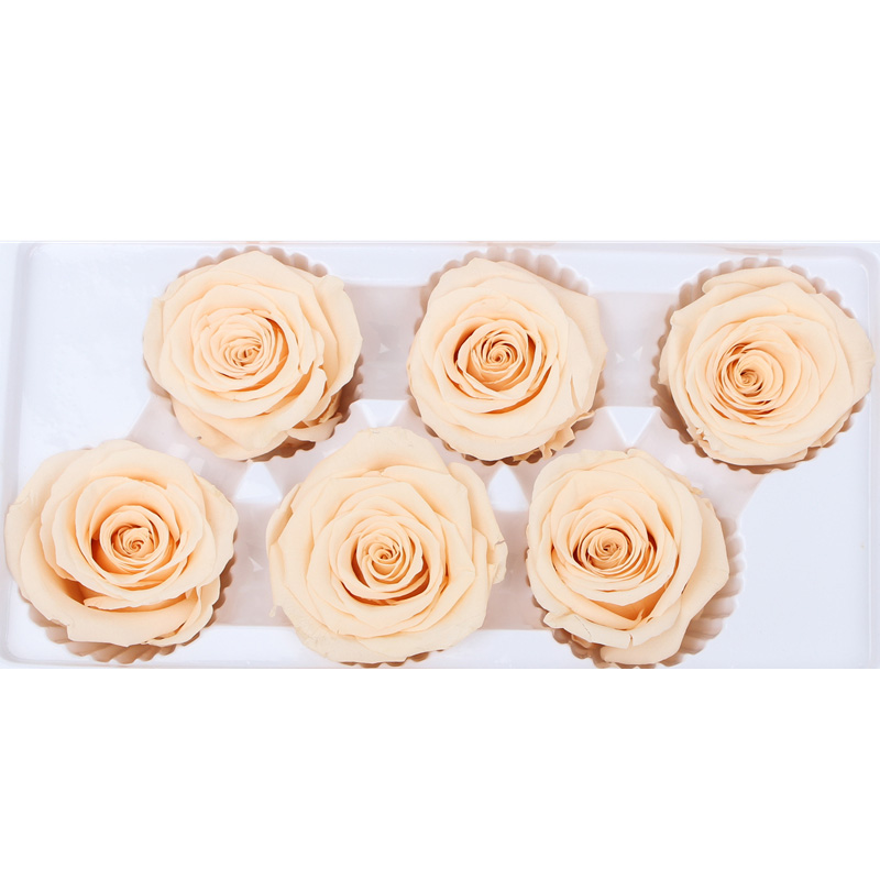 Home Decoration Preserved Rose Heads For Arrangements And Decorations