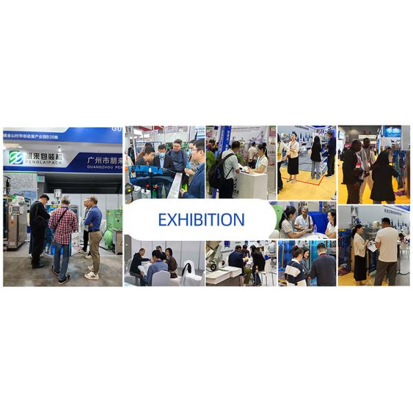 Multi Function Automatic Vacuum Pillow Packing Machine PL-VP for Food / Granules