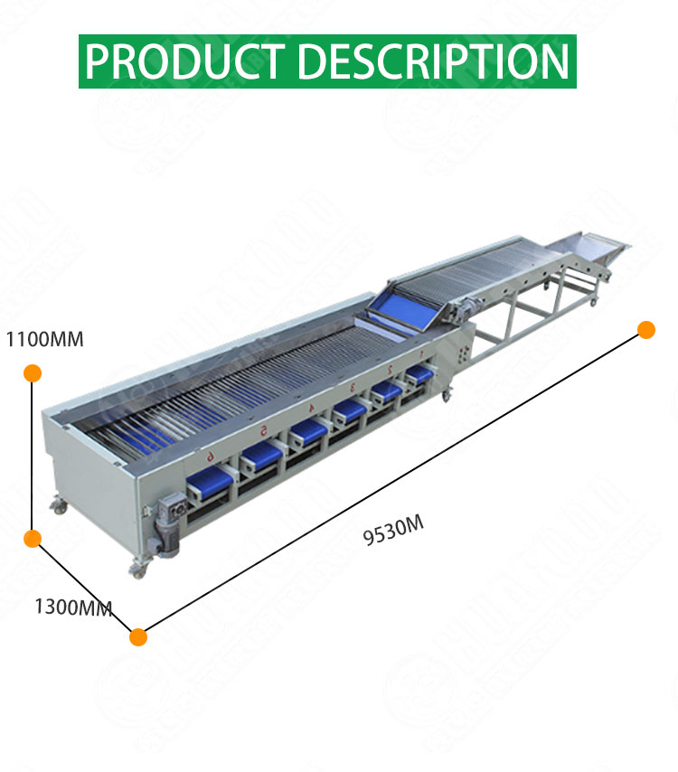 1.85KW Fruit Vegetable Processing Equipment Cucumber Carrot Sorting Machine