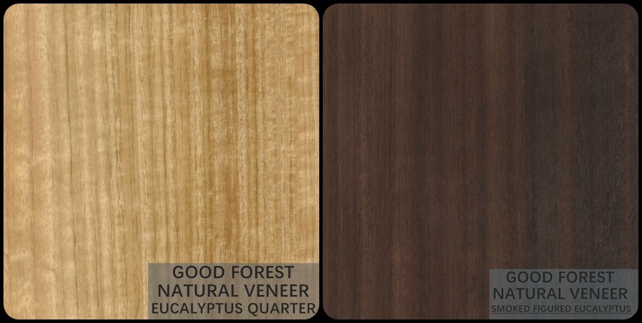 Natural Eucalyptus Wood Veneer Popular Vertical Grain Veneer Plywood
