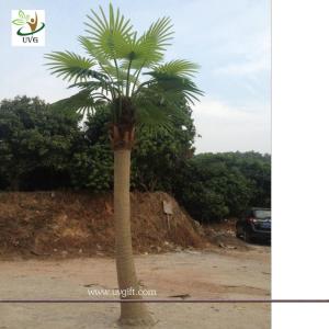 China UVG PTR038 eco friendly decorative outdoor fake palm trees for sale wholesale