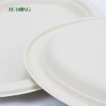 Noodle Biodegradable sugarcane food packaging Disposable Matt Lamination