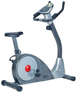 China commercial upright bike wholesale