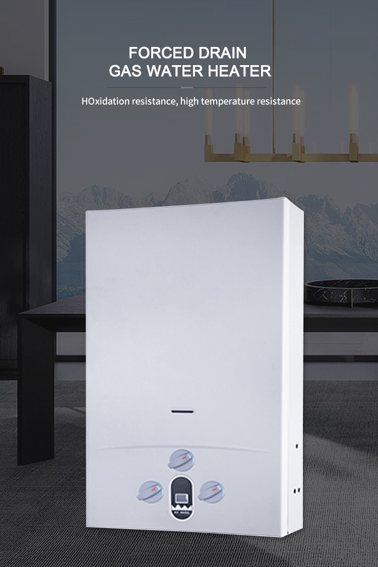 NG LP Gas Instant Condensing Tankless Water Heater 10L 12L