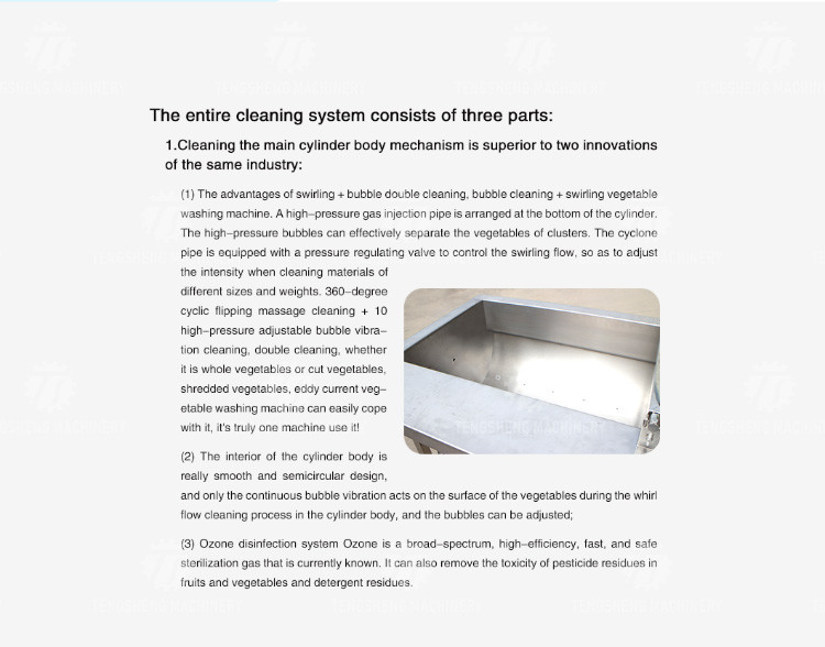1000KG/H Supply of eddy current washing machine commercial fruit and vegetable washing machine drain spray vortex out