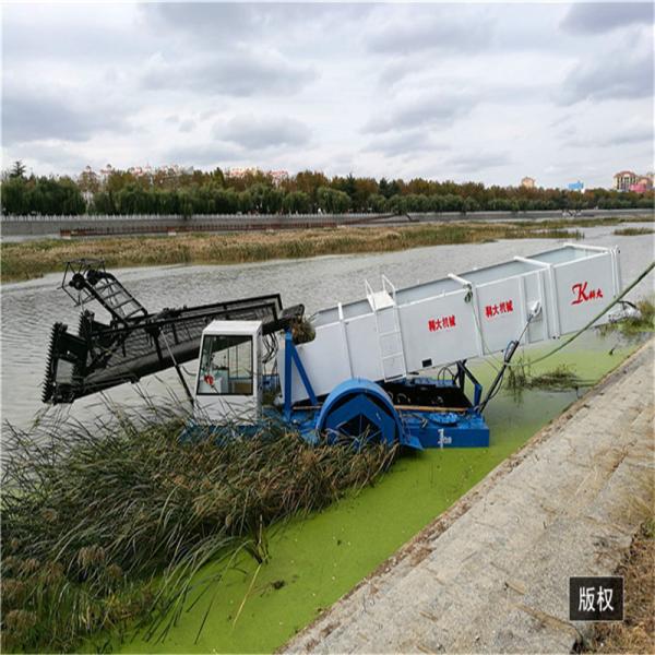 Quality Width 0.5M Water Hyacinth Harvester Collection Boat Reed Harvester for sale