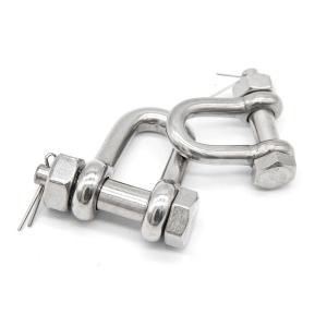 China Straight Ss304 Ss316 Heavy Duty D Ring Shackle wholesale