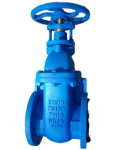 China (BS) Cast Iron Gate Valve Flanged Ends wholesale