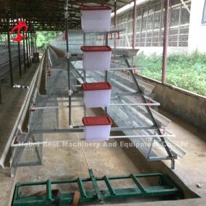 China Automatic Layer Battery Cage System Commercial Layer Chicken Cage 3 Tiers Hot Sale Rose wholesale
