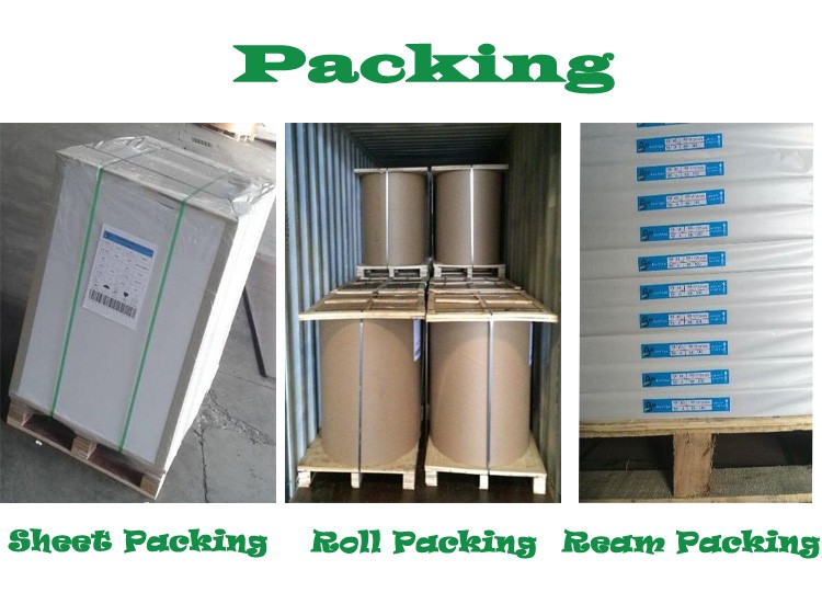 25kg Brown Kraft Paper Box Packaging Bags Notebook Rolls Waterproof