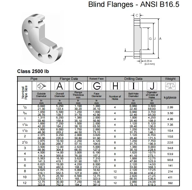 NXF ASTM B435 B572 5754 5798 Alloy X/2.4665/N06002 ASTM Standard DN15-1200 Class150-2500lb Blind Flanges