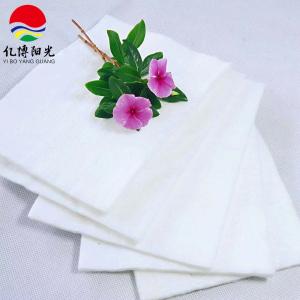 China Road Repair 300g 400g 600g Polyester Long Fiber Needle Punched Non Woven Geotextile wholesale